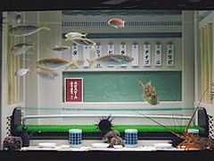 �y�G�[�XJTB�E�������s�z�_�ސ�c�A�[�E�_�ސ�̗��فE�z�e���\��@